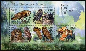 COMORO ISLANDS - 2011 - Owls - Perf 5v Sheet #1 - MNH - Private Issue