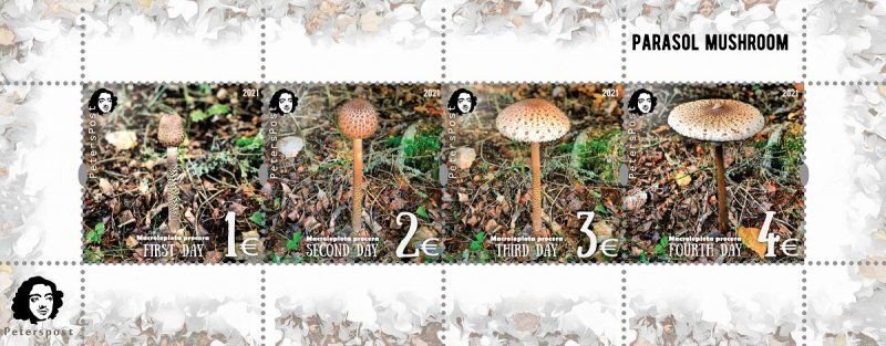 Finland 2021 Parasol mushroom Peterspost Perforated set of 4 stamps in block MNH