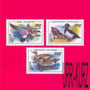 RUSSIA 1994 Nature Fauna Water Birds Ducks 3v Mi389-391 MNH