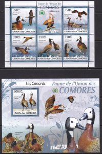 Comoro Islands, Fauna, Birds, Ducks MNH / 2009