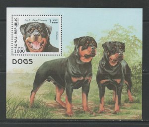 Thematic Stamps Animals - SOMALI REP 1997 DOGS MS mint