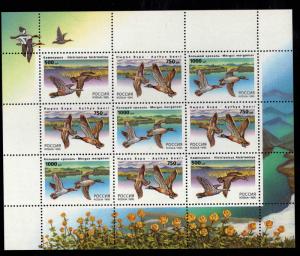 Russia Scott 6286a MNH** Duck souvenir sheet