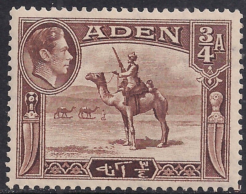 Aden 1939 - 48 KGV1 3/4 Annas Red Brown Camel Corps MM SG 17 ( L1261 )