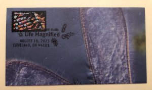 2023 Life Magnified FDC HAND CRAFTED FOLDED CACHET Microscope Moth Wing Scales