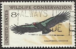 # 1430 USED CALIFORNIA CONDOR