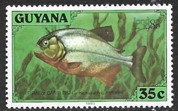 GUYANA 1980 35c PIRAI FISH Pictorial London 80 Sc 317g MNH