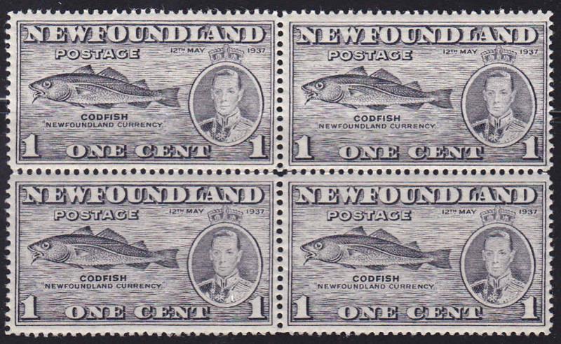 Newfoundland Scott 233/233a F NH Block of 4