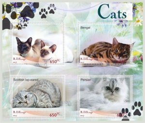 Stamps. Fauna Domestic Cats  1+1 sheets perforated 2017 year Congo