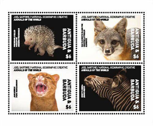 Antigua 2017 - Nat Geo Animals of the World - Sheet of 4 Stamps - MNH