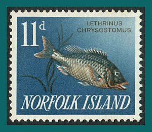 Norfolk Island 1963 Fish, 11d used  #54,SG44