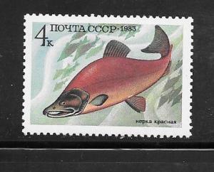 Russia #5164 MNH Single