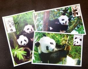 *FREE SHIP Singapore Giant Panda 2012 Bamboo Fauna Zoo (maxicard) *rare