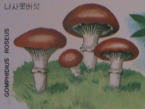 ​1989-KOREA :BEAUTIFUL LOVELY COLORFUL MUSHROOM CTO NH S/S