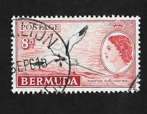 Bermuda 1955 - U - Scott #153