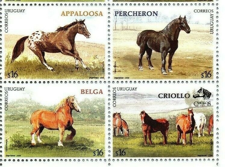 Horse breed Appaloosa Percheron Belgian Heavy Draf Uruguay #2163 MNH STAMP cv$10