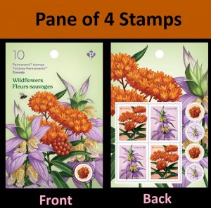 Canada Wildflowers P pane 4 MNH 2023