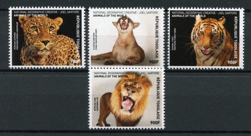 Togo 2017 MNH Wild Animals of World Lions Tigers Jaguars 4v Set Big Cats Stamps 