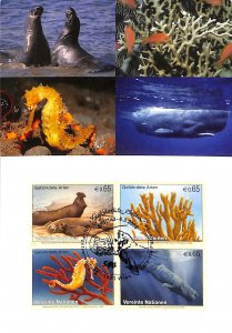 United Nations UN endangered species maximum card seahorse whale seals