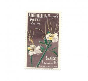 Somalia 1955 - M - Scott #201