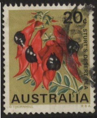 Australia 437 (used) 25c Sturt’s desert pea (1968)