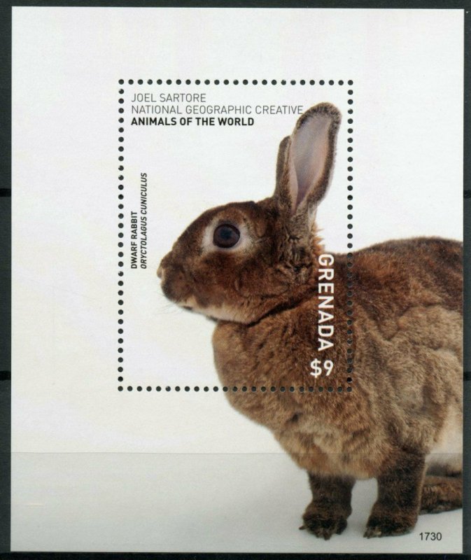 Grenada 2017 MNH Wild Animals of World Dwarf Rabbit 1v S/S Rabbits Stamps 