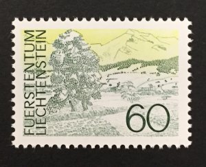 Liechtenstein 1972 #520, Landscapes, MNH.