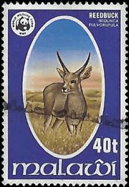 MALAWI   #322 USED (1)