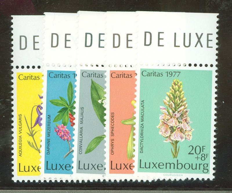 Luxembourg #B313-17 Mint (NH) Single (Complete Set)