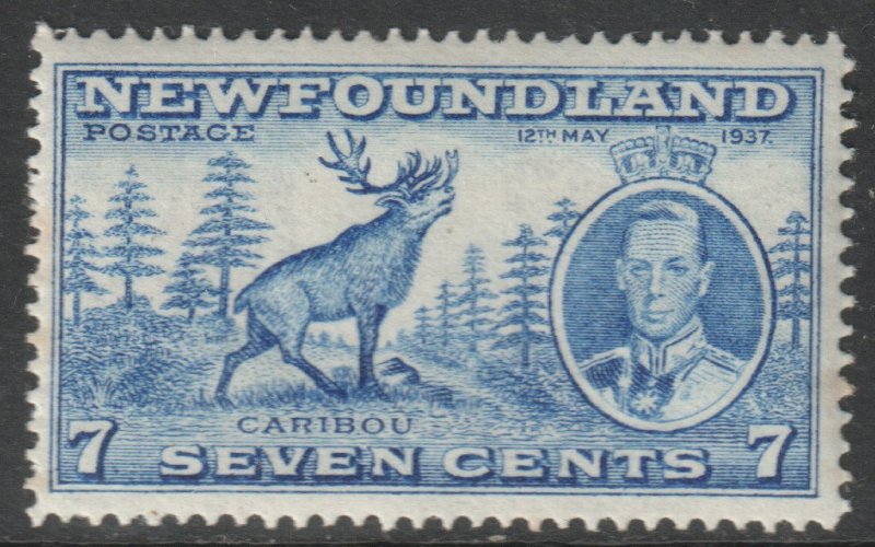 Canada Newfoundland Scott 235 - SG259c, 1937 Coronation 7c Perf 13.1/2 MH*