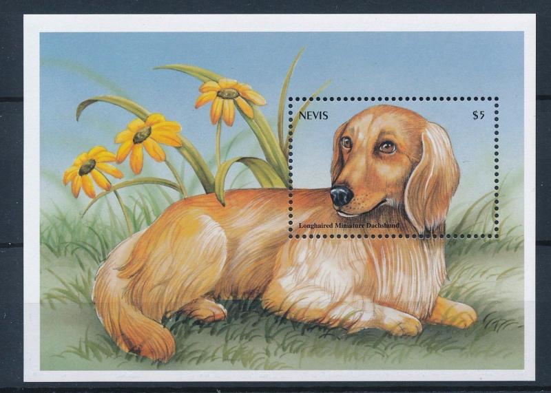 [35304] Nevis 2000 Animals Dogs MNH Sheet