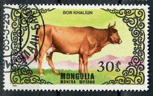 Mongolia 1420 Cow used single