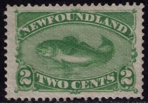 Newfoundland # 46 Mint VF VLH Cat $ 60