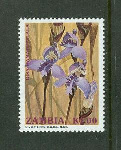 Zambia MINT Bargain Box