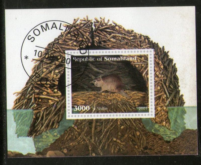 Somalia 2001 Rat Rodent Wild Life Animals Fauna M/s Cancelled # 3793