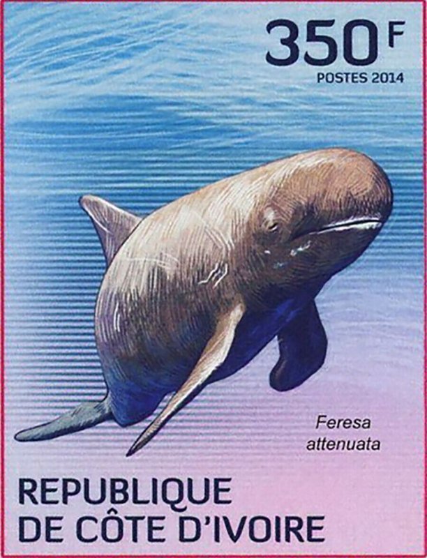 Whale Stamp Feresa Attenuata Pseudorca Crassidens Megaptera Novaeangliae S/S MNH