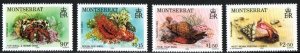 Montserrat Stamp 543-546  - Marine Life