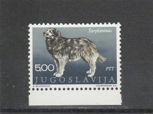 Yugoslavia  Scott#  1031  MNH  (1970 Shara Mountain Dog)