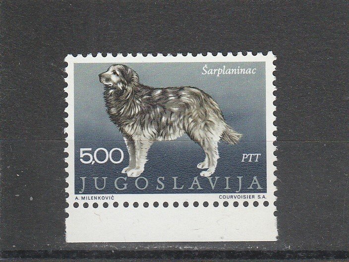 Yugoslavia  Scott#  1031  MNH  (1970 Shara Mountain Dog)