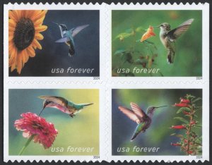 NEW ISSUE (Forever) Garden Delights Booklet Block of Four (2024) SA