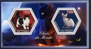 Chad 2014 Cats #1 perf sheetlet containing two hexagonal-...