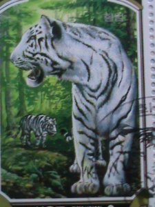 ​KOREA 2005 SC#4443 BEAUTIFUL LOVELY-RARE  AMUR WHITE TIGERS-CTO SHEET-VF