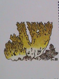 ​KOREA STAMP:1997 LOVELY BEAUTIFUL MUSHROOM MNH S/S SHEET. VERY FINE