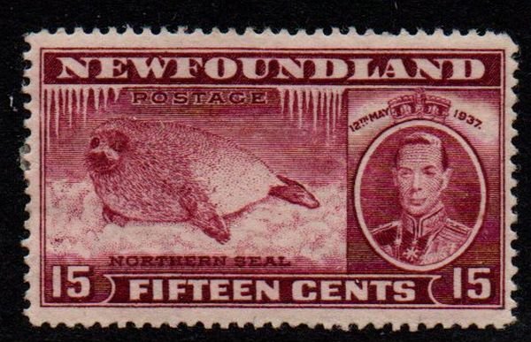 Newfoundland Sc 239 1937 15 c seal & George VI stamp mint