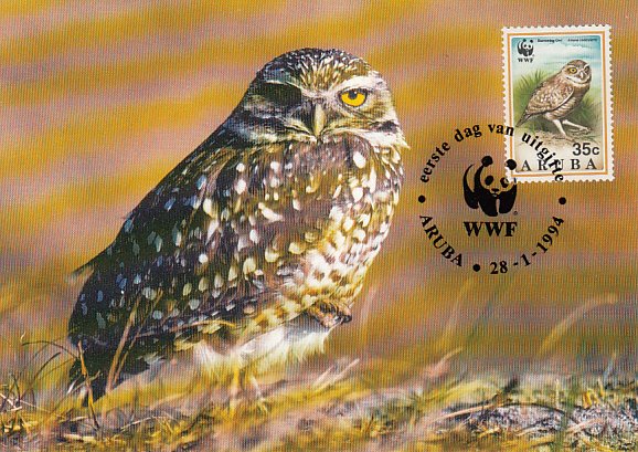 Aruba 1994 Maxicard Sc #103 5c Burrowing Owls Adult with prey WWF