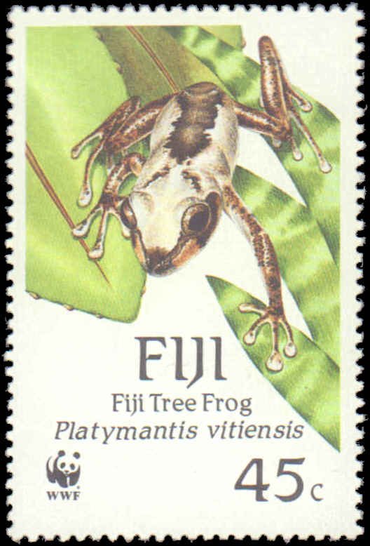 Fiji #591-594, Complete Set(4), 1988, World Wildlife Fund, Frogs, Never Hinged