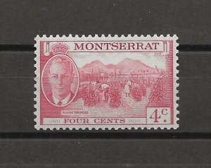 MONTSERRAT 1951 SG 126a MNH Cat £850