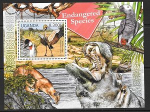 UGANDA 2012 ENDANGERED SPECIES MNH