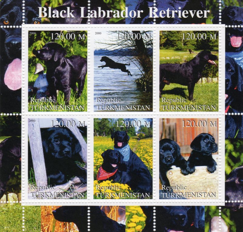 Turkmenistan 2000 DOGS BLACK LABRADOR RETRIEVER Sheetlet (6) MNH