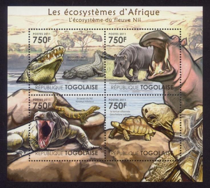 river nile animals