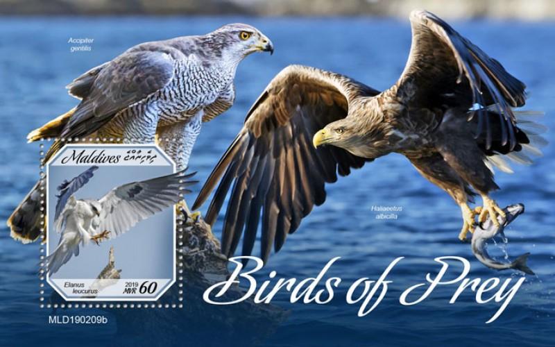 MALDIVES - 2019 - Birds of Prey  - Perf Souv Sheet - MNH